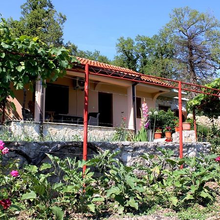 Holiday Home Gazevic Virpazar Exterior photo