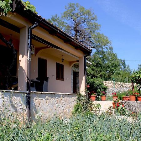 Holiday Home Gazevic Virpazar Exterior photo