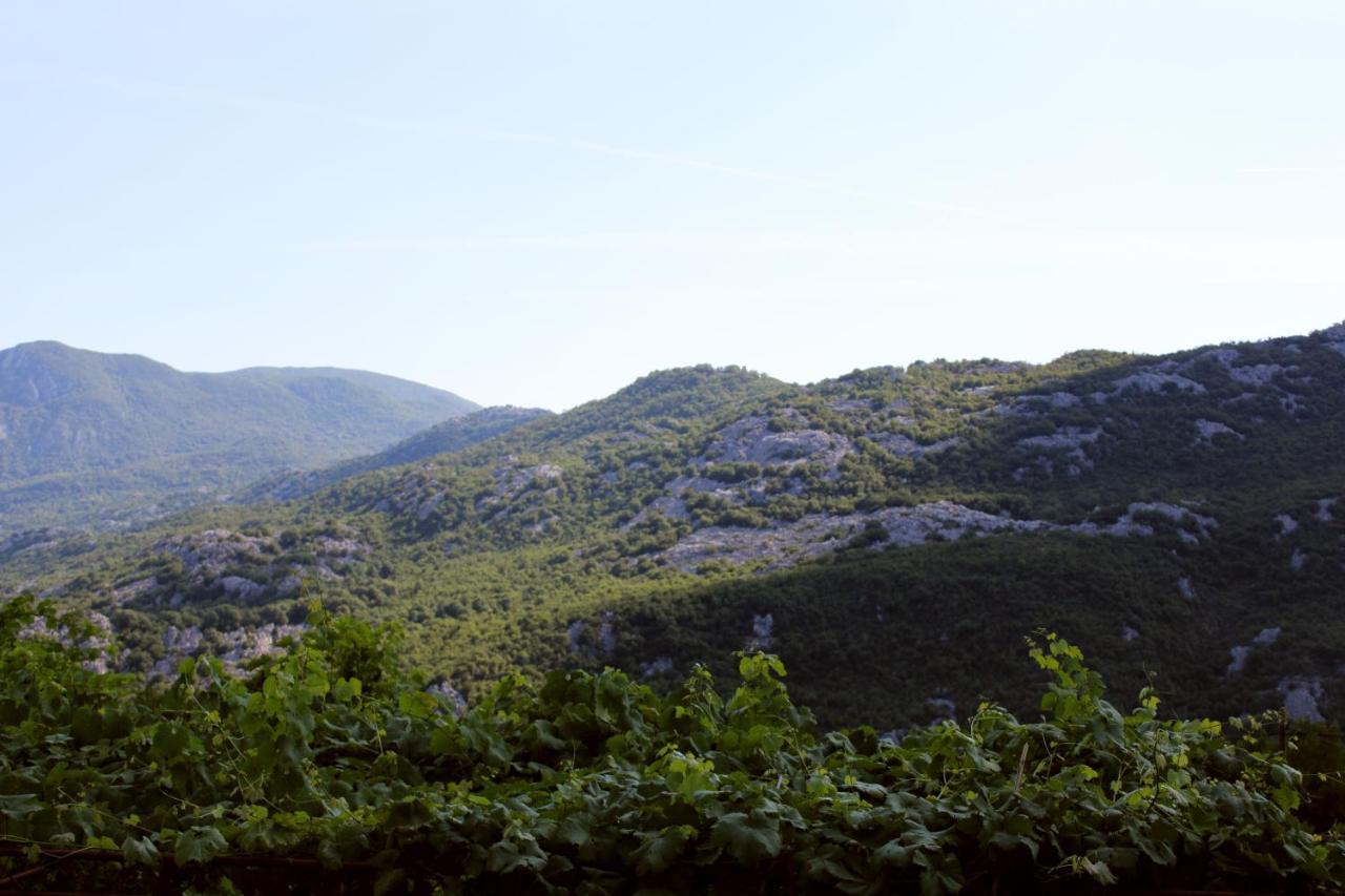 Holiday Home Gazevic Virpazar Exterior photo